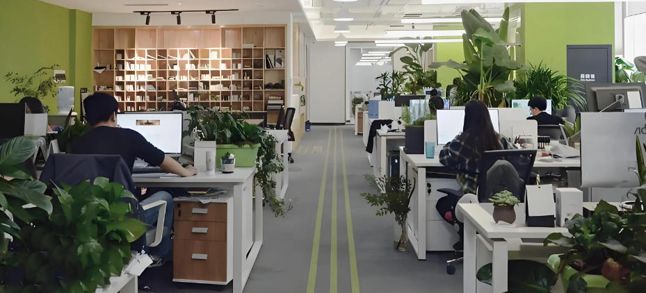 盐城辰通旅信文旅有限公司轮播图3