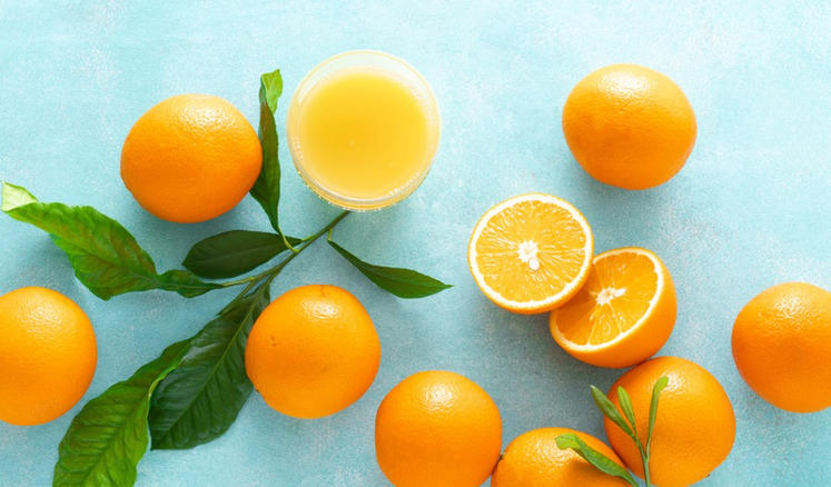 盐城辰通旅信文旅有限公司轮播图3