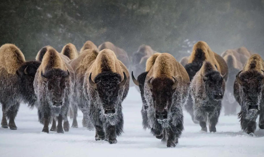 盐城辰通旅信文旅有限公司轮播图2