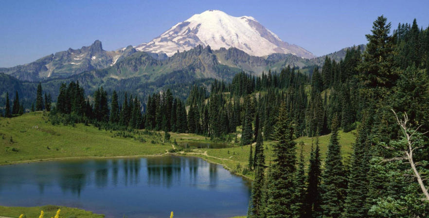 盐城辰通旅信文旅有限公司轮播图3